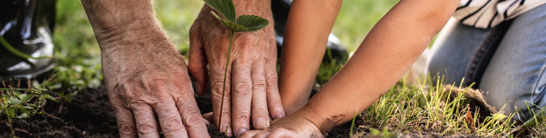 Sustainability at Laurel Circle