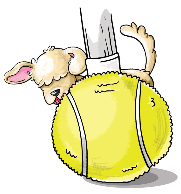 bud eying a tennis ball