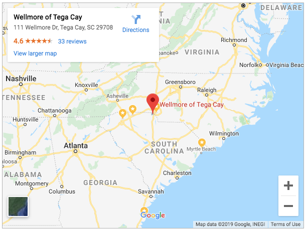 wellmore of tega cay