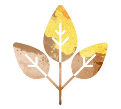 Forest Conservation icon